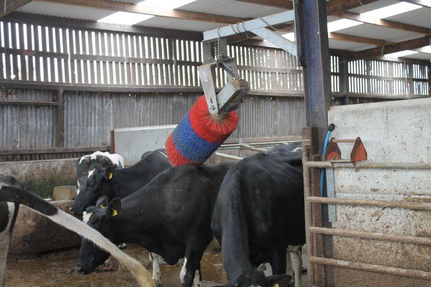 The Gimbal Cow Brush Cowcare Systems Ireland
